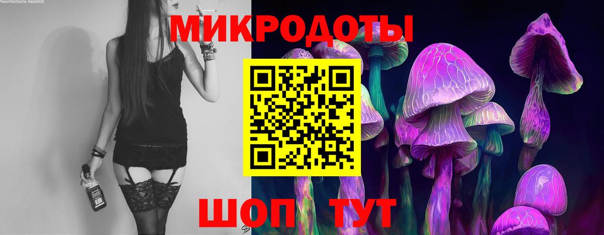 Галлюциногенные грибы Magic Shrooms Россия