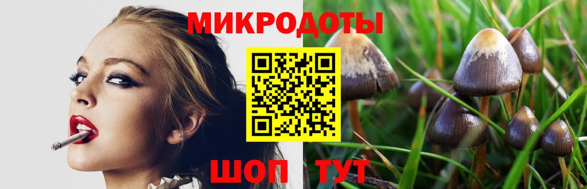 Галлюциногенные грибы ЛСД  Псилоцибиновые грибы мухоморы  Россия  Вход с VPN 