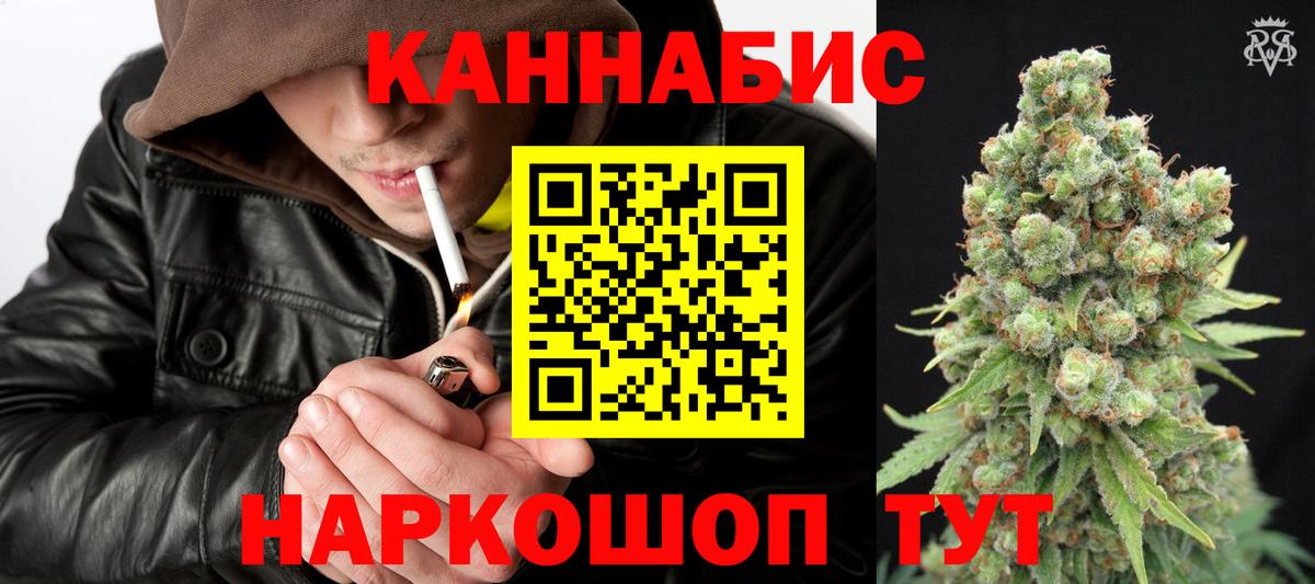 Канабис семена Россия