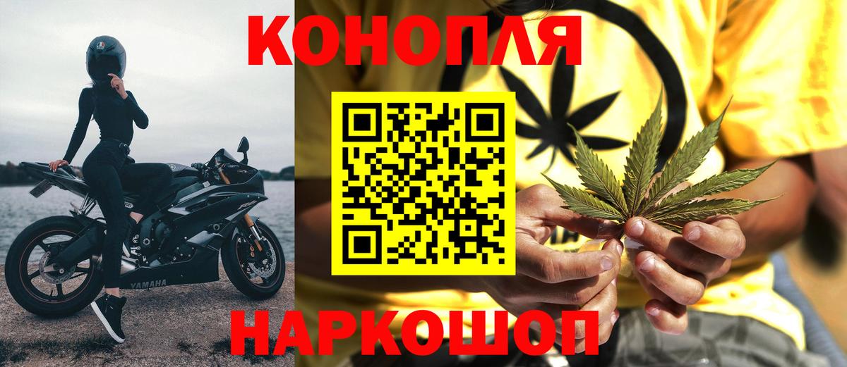 Россия  Бошки марихуана гибрид  Конопля OG Kush  Вход с VPN 